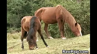 Latino Gay Fucking Ass hole and Sucking deepthroat